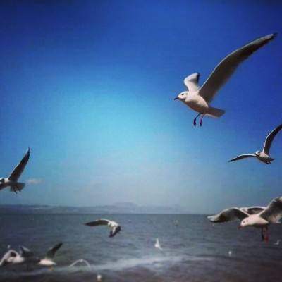 泣神曲红包版游戏下载